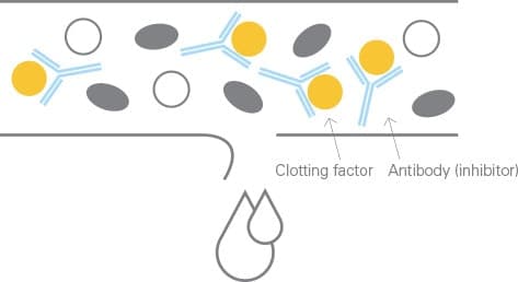 Antibodies are a part of your body's natural defense system, attacking foreign substances that enter the body. They're valuable for fending off viruses and bacteria