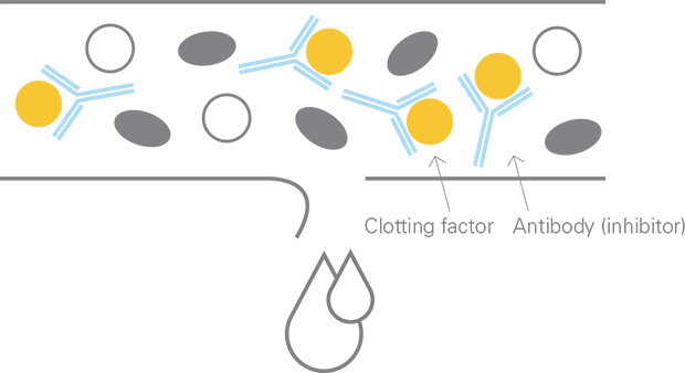 Antibodies are a part of your body’s natural defense system, attacking foreign substances that enter the body. They’re valuable for fending off viruses and bacteria