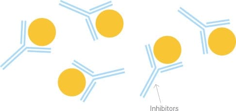 For some people with hemophilia, these antibodies view the factor treatment as foreign and attack it, stopping it from working. Those antibodies are called inhibitors