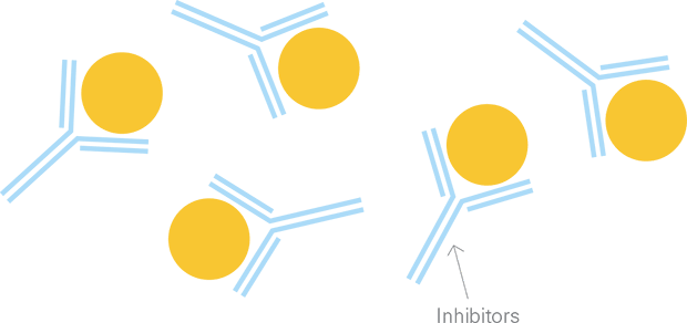 For some people with hemophilia, these antibodies view the factor treatment as foreign and attack it, stopping it from working. Those antibodies are called inhibitors